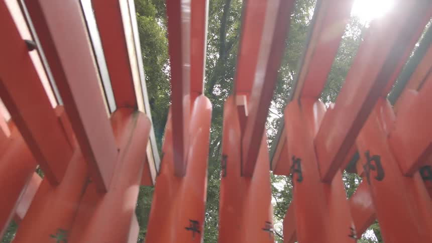 Trees and sunshine are visible through the pergola beams
