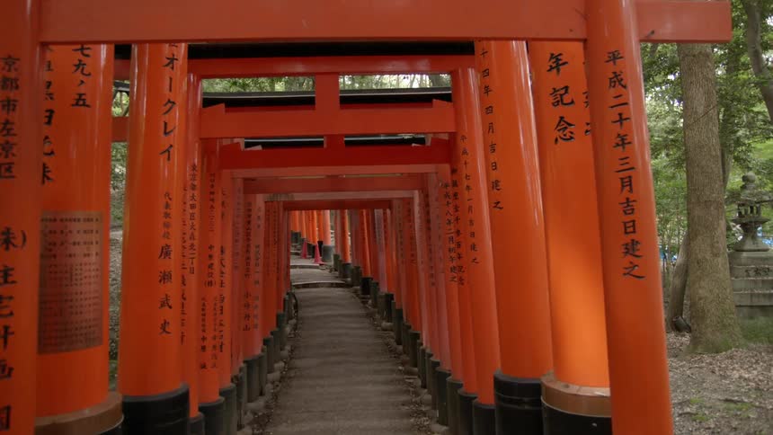 A pathway has trees all around it and orange pillars