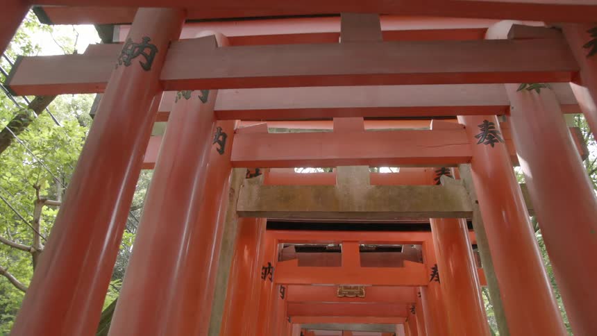 View of a tunnel of red pillars