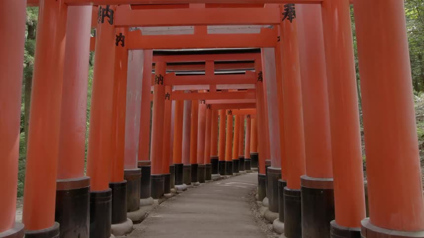 Red pillars tower overhead and form a tunnel