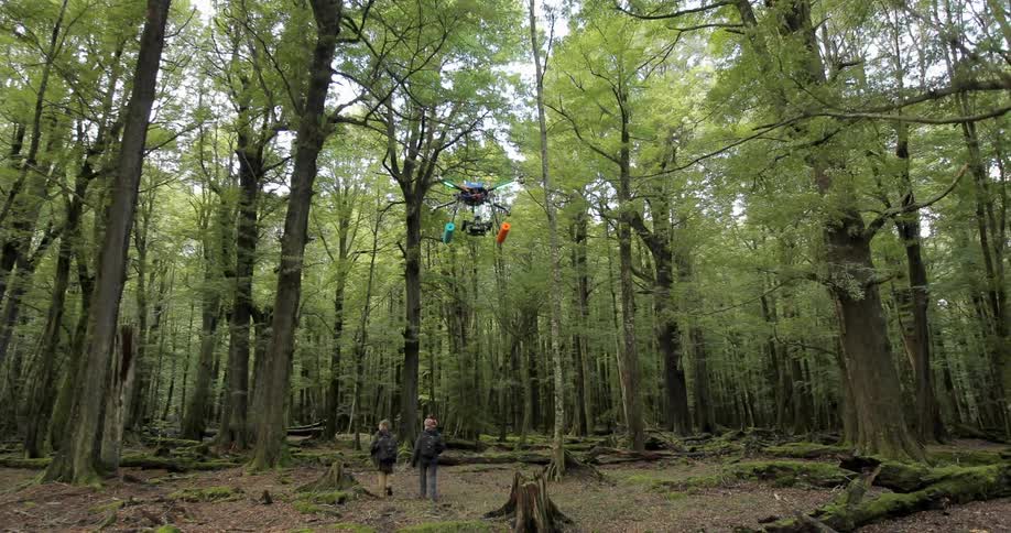 A drone is following people hiking in the woods