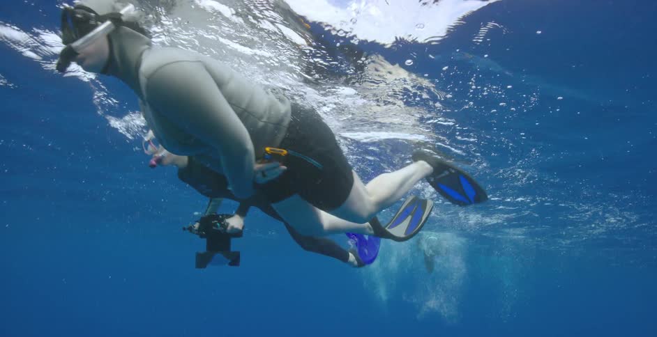 People scuba diving