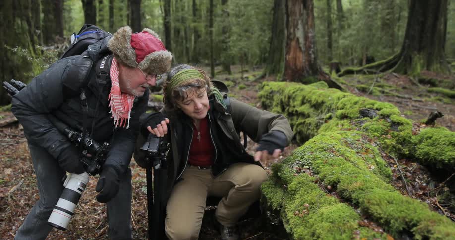 These two people with cameras are examining a moss covered fallen tree