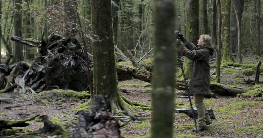 A photographer adjusting their camera as they set up in a forest