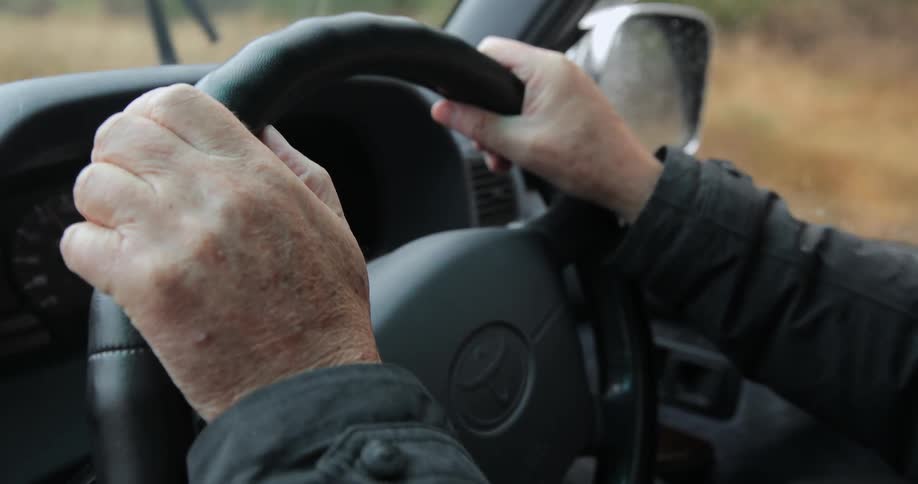 A person is steering a vehicle
