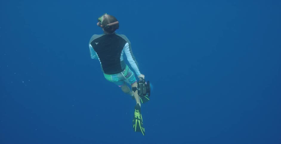 A snorkeler rises to the surface of the ocean