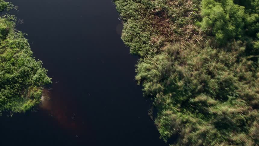 A birds-eye view of the St Johns River at sunrise with lush green trees lining both sides