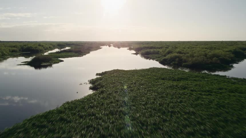 Flying low over St Johns River at sunrise in Florida capturing the natural beauty of the river and its surroundings