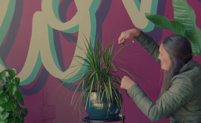 A woman prunes a plant on a stand in front of a mural