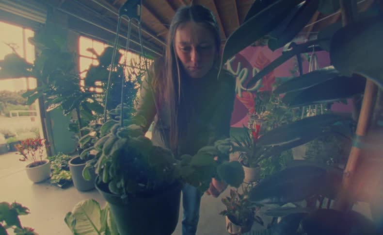 A woman uses clippers to prune a suspended potted plant