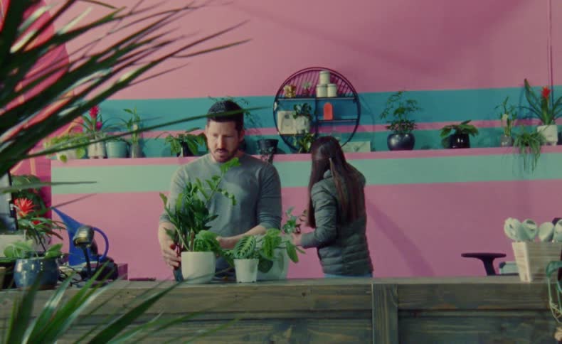 Two plant shop owners trimming and arranging indoors plants on the counter