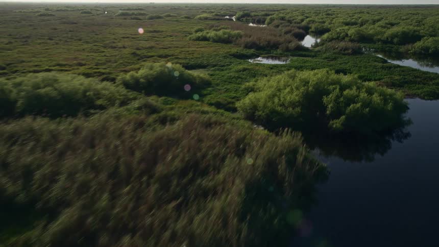 An aerial low altitude flyover at sunrise of St Johns River near Orlando Florida during spring showcasing the beauty of the natural river