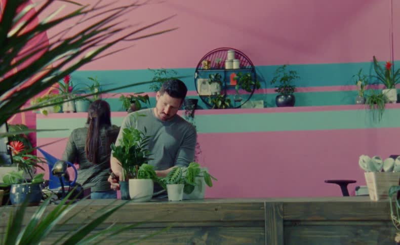 One plant store worker tends plants while the other places plants on shelf behind counter