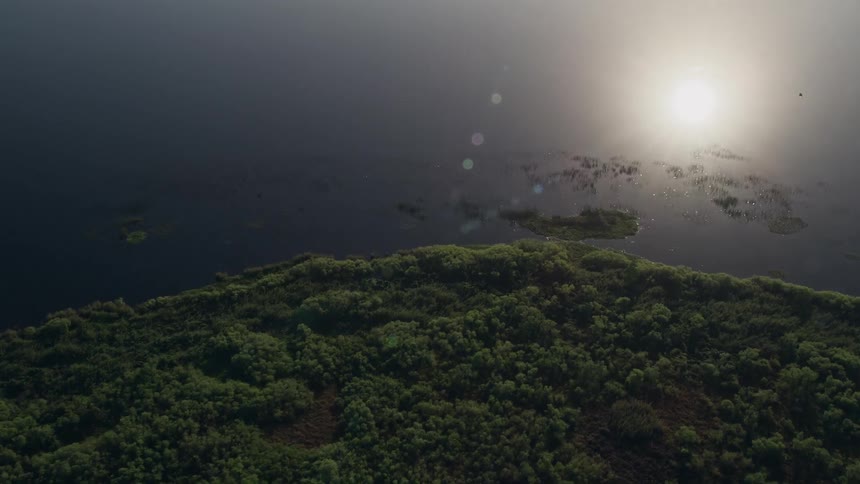 Approaching Lake Washington shoreline at sunrise in Florida