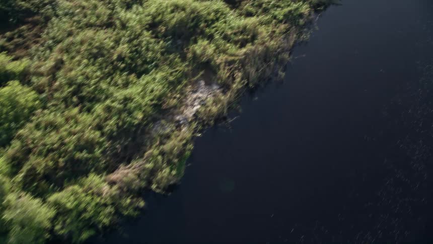 Experience a birds eye view of the peaceful and stunning St Johns River at sunrise in Florida looking down at the natural river surrounded by nature