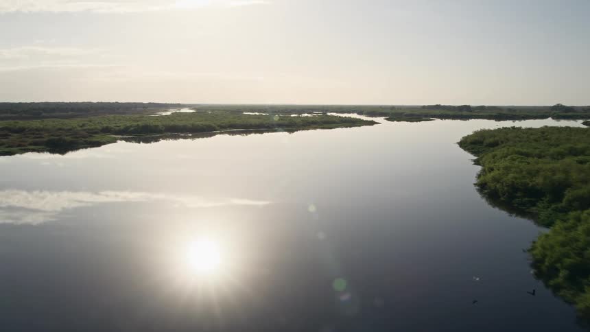 A low altitude aerial approach of St Johns River at sunrise over bushy green plants on either side Florida Everglades Aerial footage