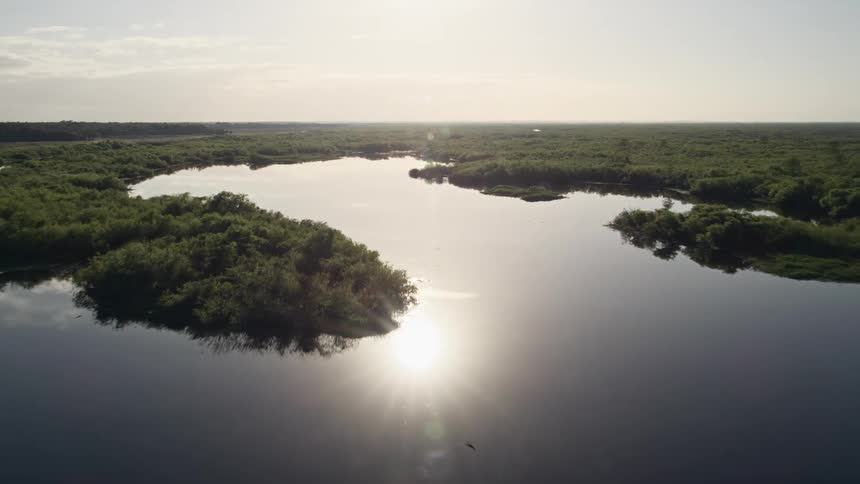 Fly low over the St Johns River at sunrise in Orlando Florida showcasing the natural beauty of the river surrounded by trees from a high aerial 