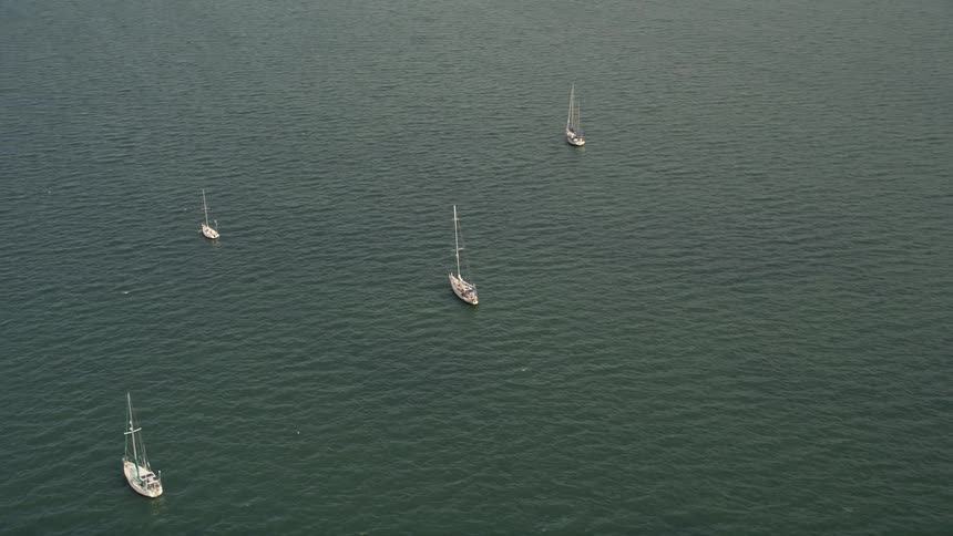 Four sailboats are seen orbiting in a bay near Coconut Grove Florida