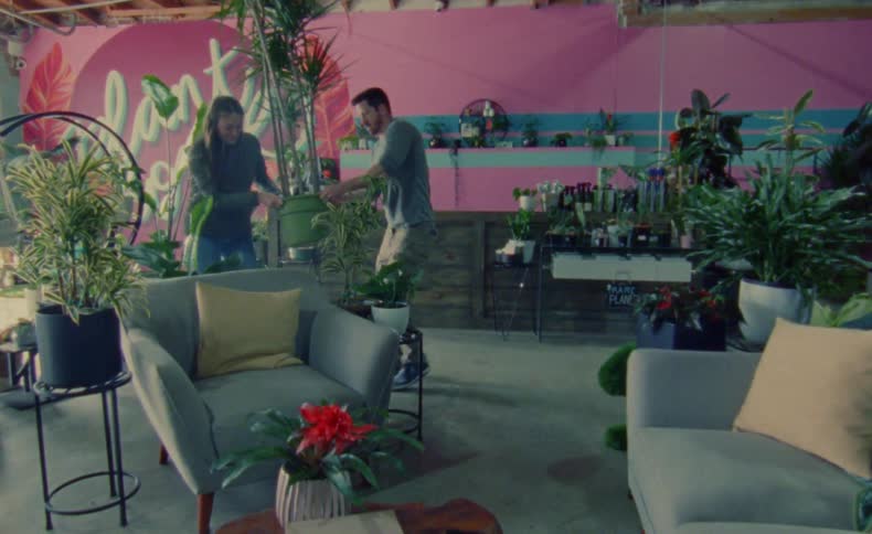 Two shop owners moving potted indoors plants to decorate a space