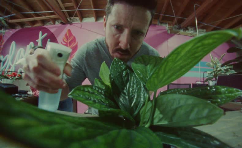 A man spraying water on a plant close up as he looks over the plant and touches the leaf