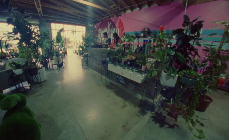 Coworkers stand behind counter in plant store near mural painted wall