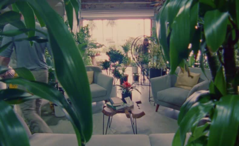 A man squats down to look at an arrangement of plants in his shop