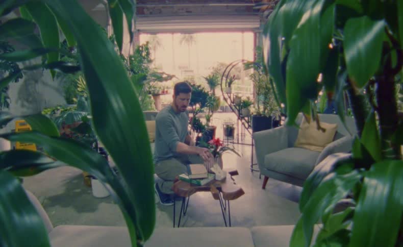 A man and woman tend to a number of potted plants in their shop