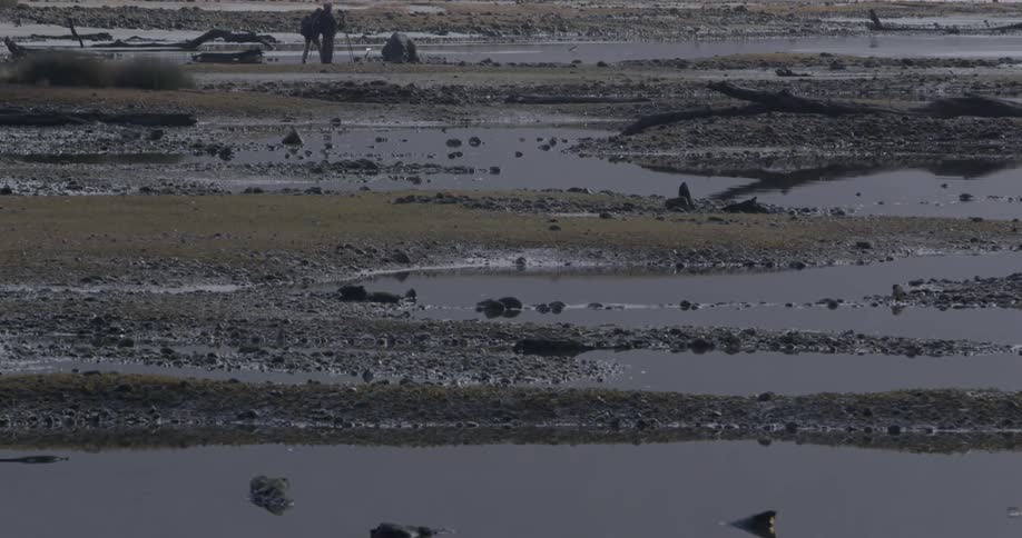 Photographers setup a shot in a rock covered waterbody