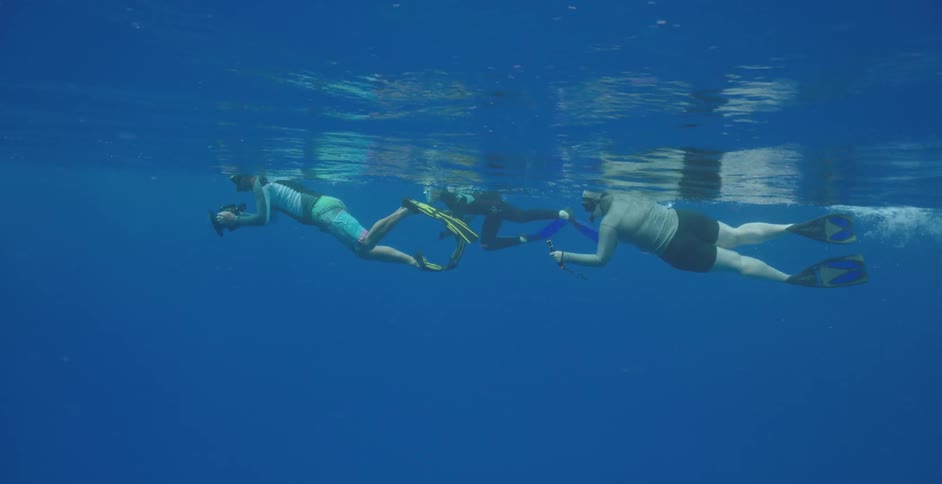 Snorkelers as seen from underwater