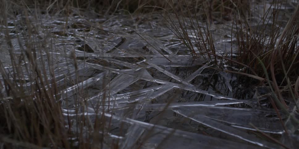 The ground is littered with ice