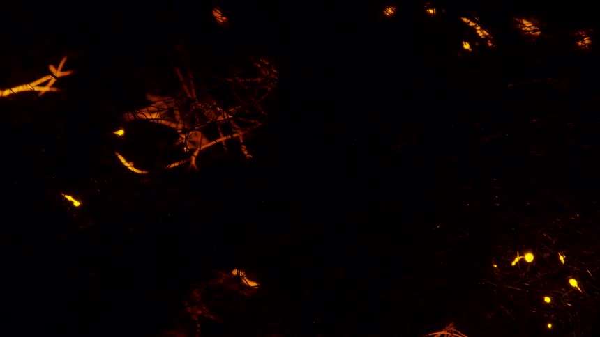 Neurons firing red and yellow against a black background