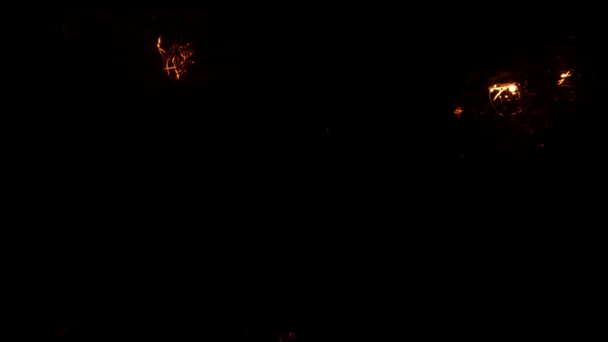 Glowing orange lights move like an organic fire in the darkness leaving trails of illuminated light behind
