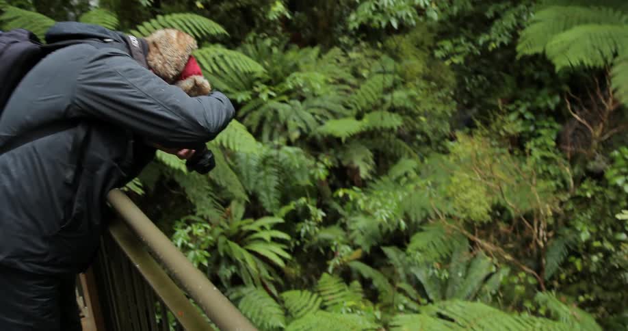 People take pictures over the edge of a bridge
