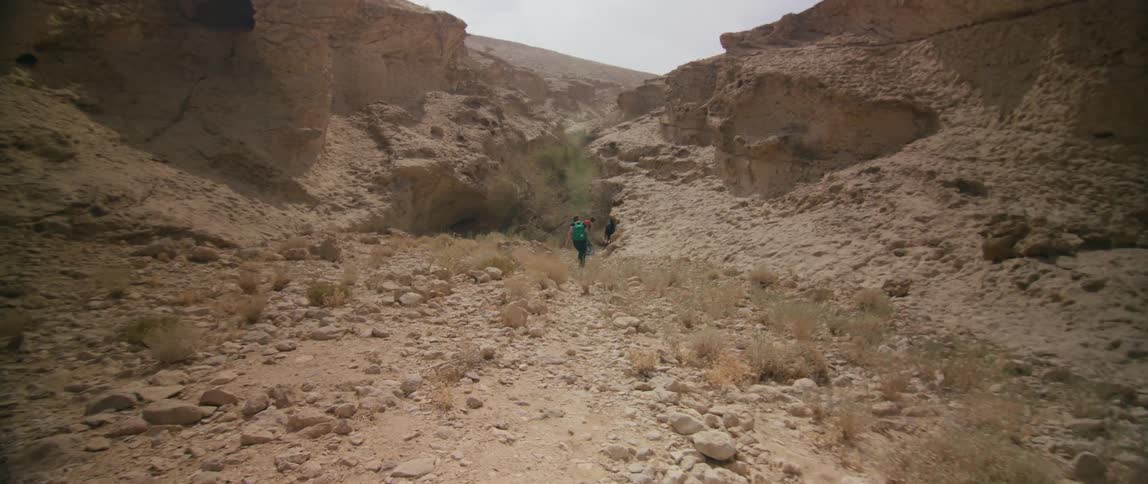 A group of people hike down a rocky trail in a canyon