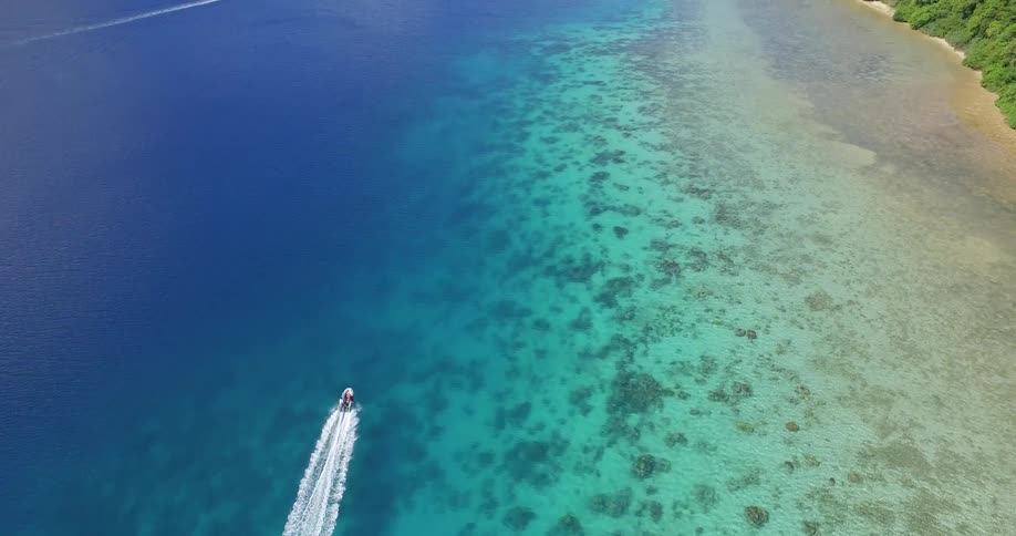 A speedboat skims across blue water next to a beach