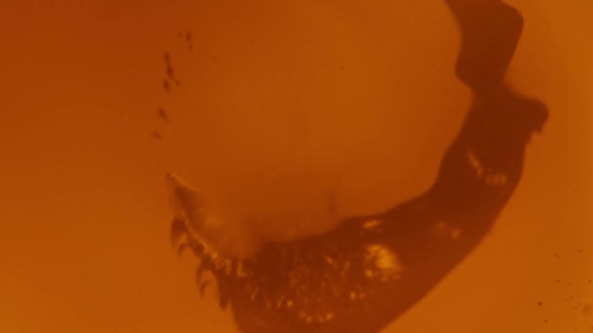 Dark brownish orange mass vibrates as it changes shapes against orange background