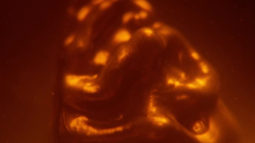 A slimy blob floats underwater