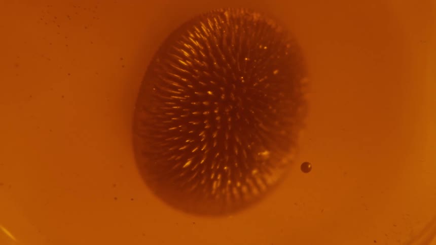 Small dark sphere flows through orange fluid to spiky circular glob