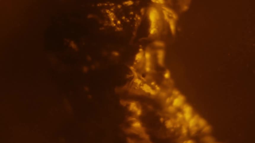 A glowing organic orange substance is moving and shapeshifting like living molten lava