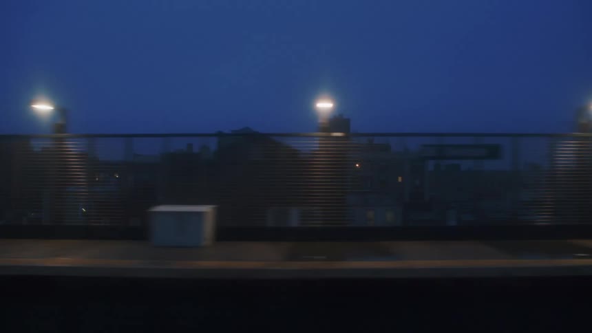 View from a moving train as another passes by and then arriving at the train station