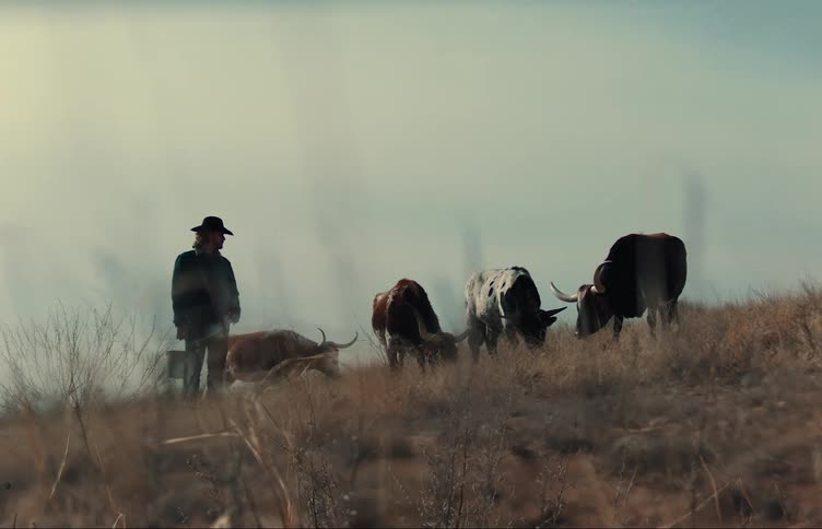 A rancher watches while his cattle graze on a hill