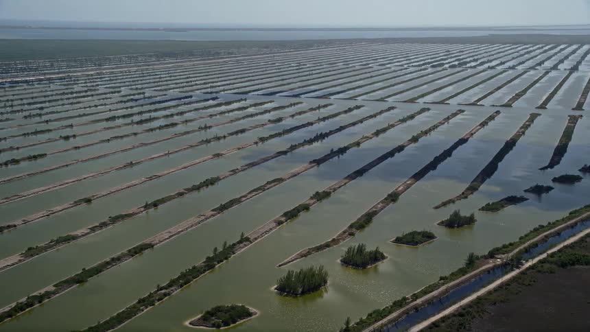 An aerial view of the Turkey Point Power Plant cooling canal system in Homestead Florida with water passages and bodies of water visible