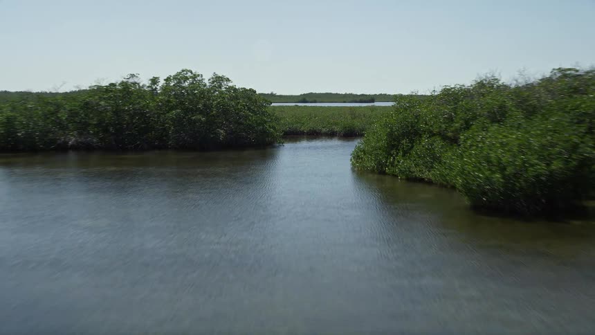 A low-flying aerial view of lush coastal mangroves in Model Lands Basin Homestead Florida during a sunny day