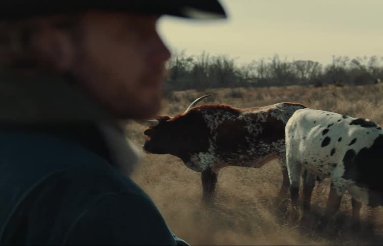 A rancher stands by while his cattle graze in a field