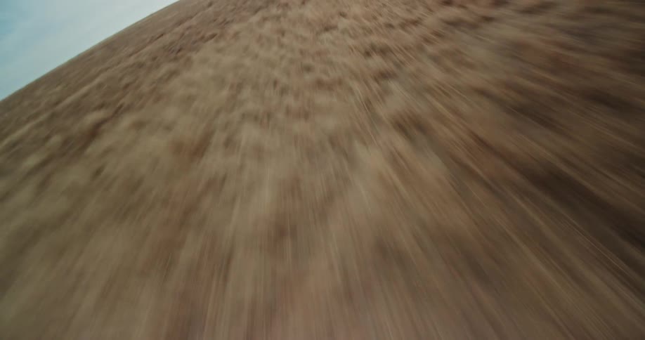 Field of brown grass stretches to horizon on cloudy day