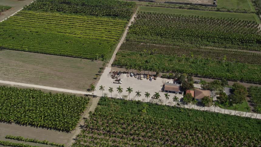 Flying over rows of crops surrounding a home in Homestead Florida during a sunny day in summer