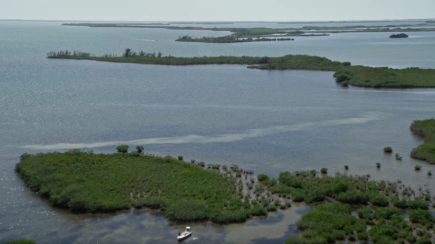 Aerial view of coastal mangroves in Model Lands Basin Homestead Florida during daytime
