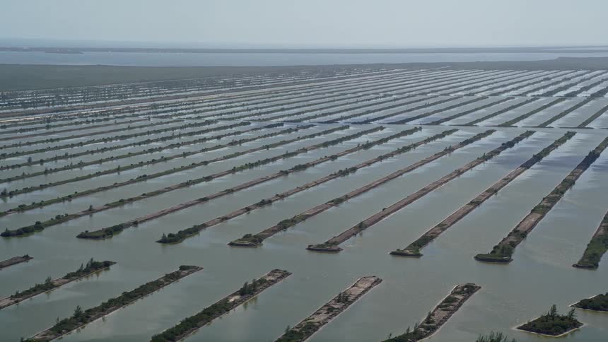 Flying over Turkey Point Power Plant cooling canal system the aerial footage showcases the water body surrounded by fields of parallel strips of land while emitting nuclear power