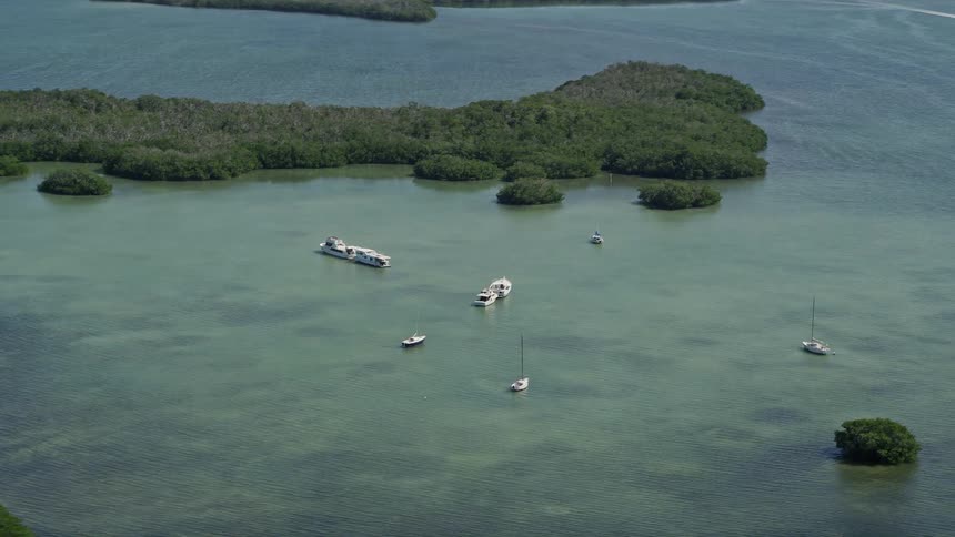 An aerial footage of sailboats and fishing boats along the shore of Model Lands Basin Homestead Florida