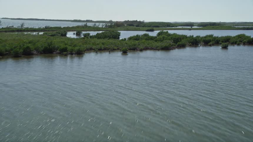 Flying over the turquoise waters of Model Lands Basin in Homestead Florida reveals a breathtaking mangrove forest